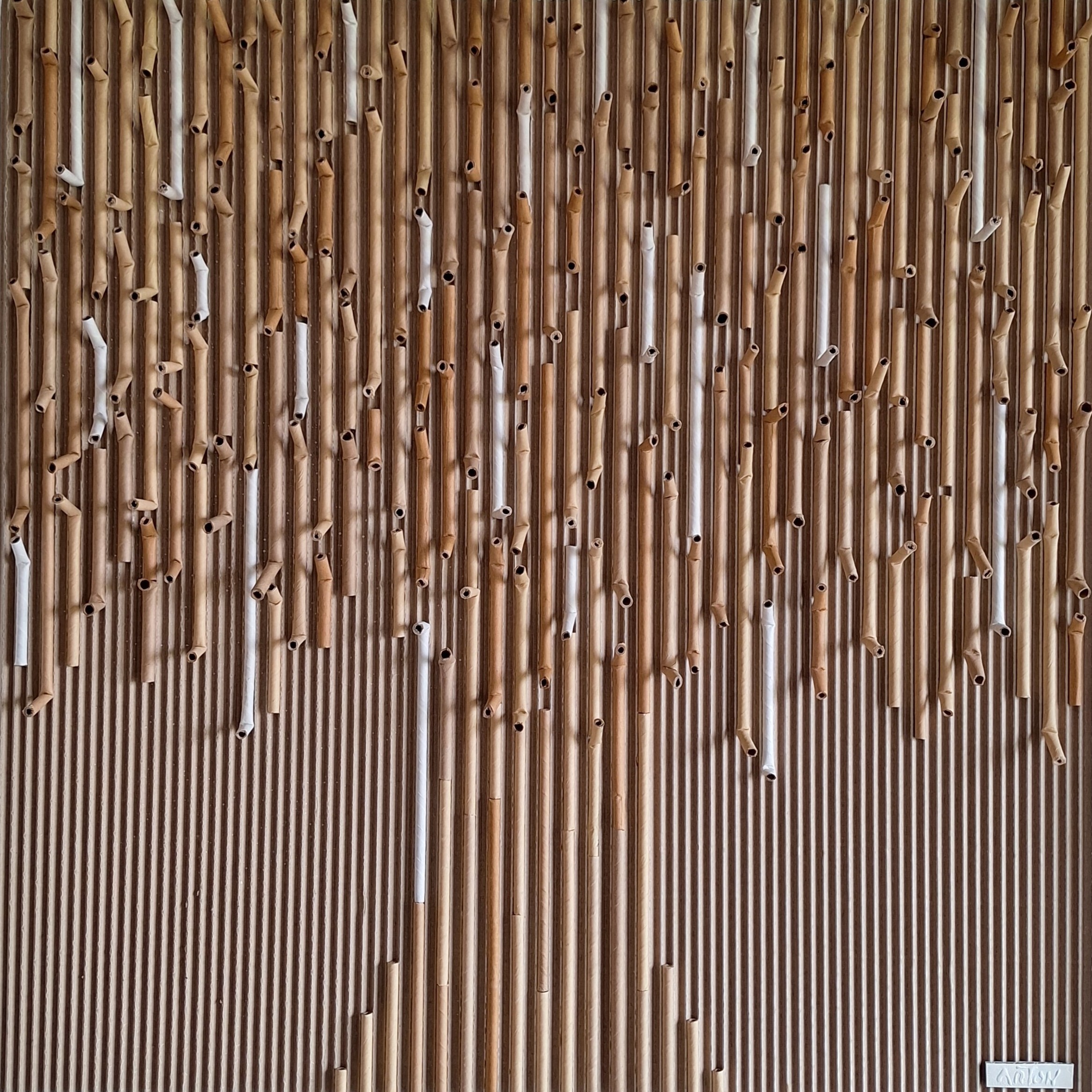 L'arbre dans tous ses états